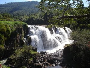Aluguel de van em Poços de Caldas