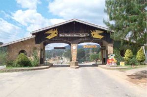 Aluguel de van para Monte Verde
