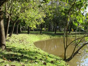 Aluguel de van para São Lourenço
