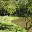 Aluguel de van para São Lourenço