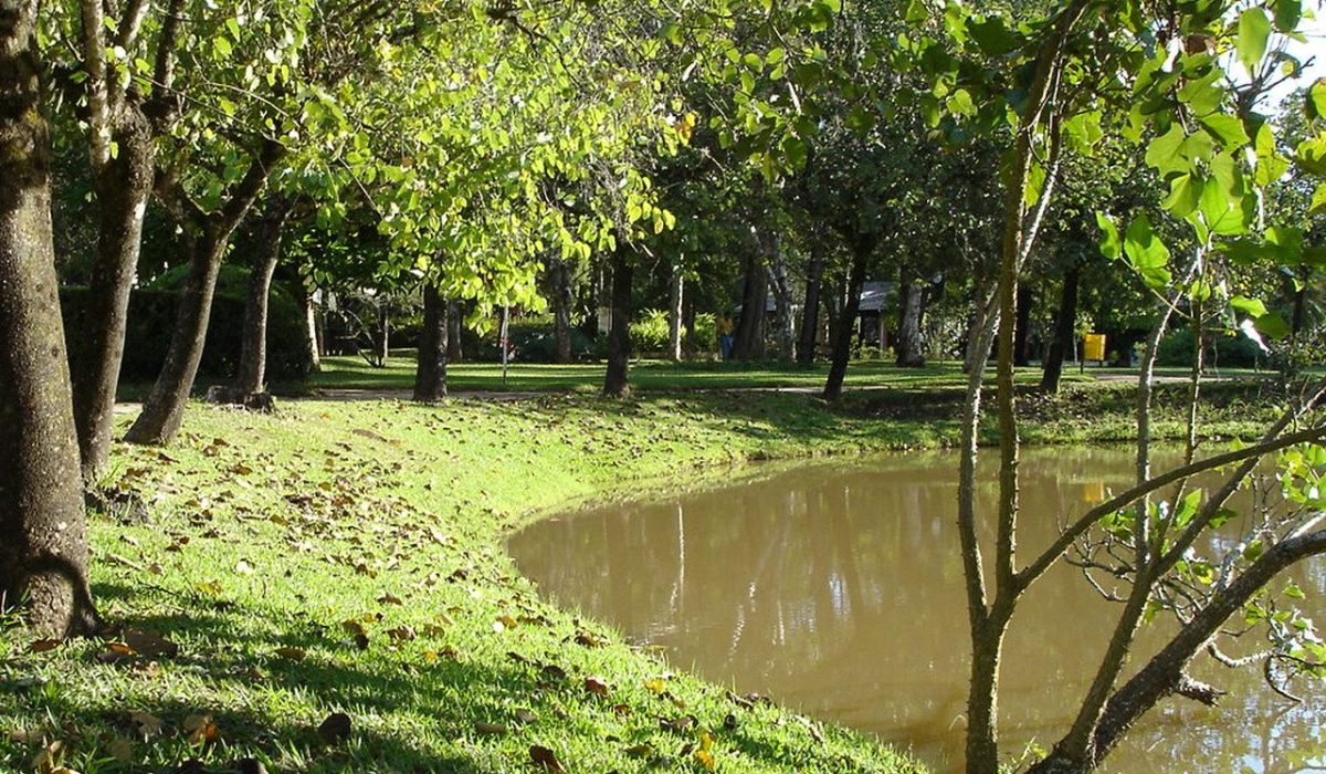 Aluguel de van para São Lourenço